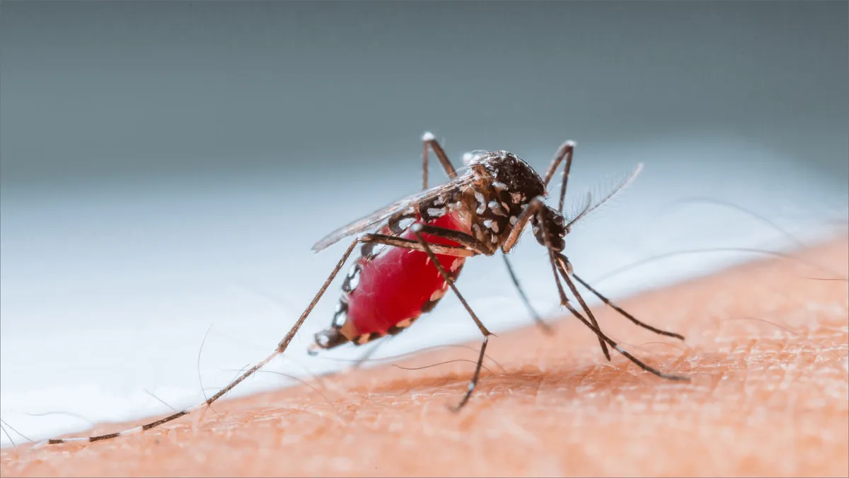 Secretaría de Salud del Edomex confirma 475 casos de Dengue en 2024