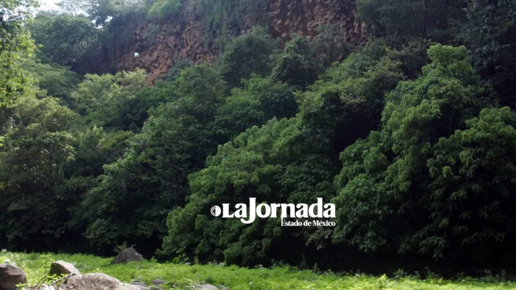 ​El santuario oculto de Juluapan: Entre gigantes de piedra