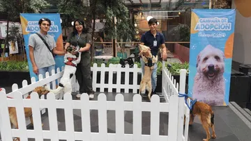Romina Contreras invita a visitar “Huixquican” y adoptar un animal rescatado 