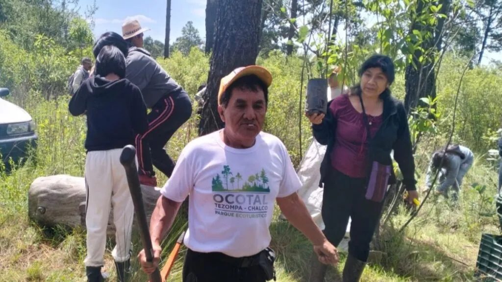 Comité en defensa del parque El Ocotal impulsa campaña de reforestación en Chalco