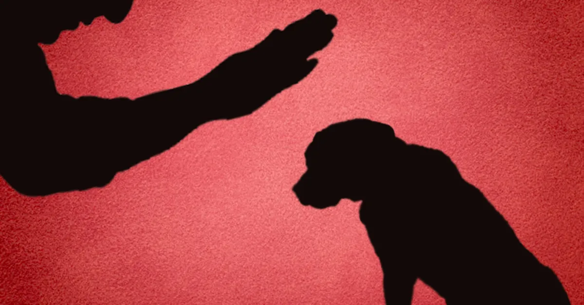 Recibe Toluca más de 170 denuncias por maltrato animal durante pandemia