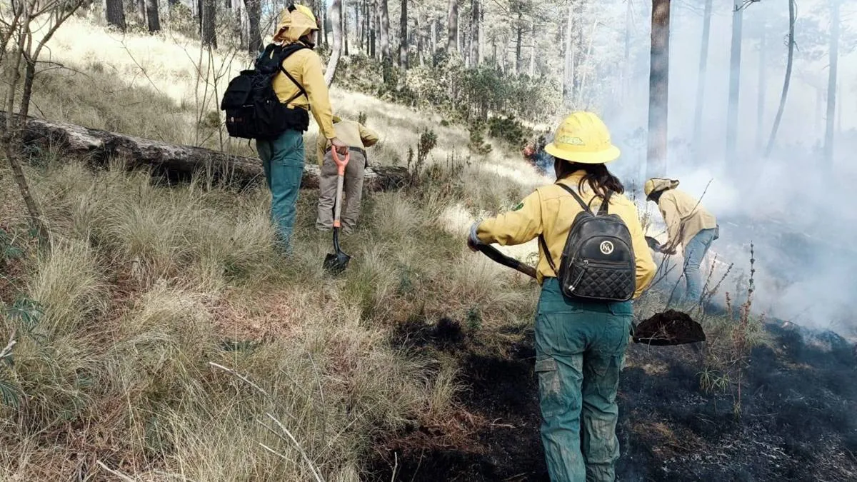 Incendio forestal en el Nevado de Toluca deja tres lesionados 