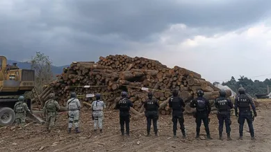 Coatepec Harinas: Aseguran más de mil rollos de madera durante operativo contra tala clandestina