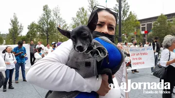Marchan en Toluca por mejores tratos para perros y gatos