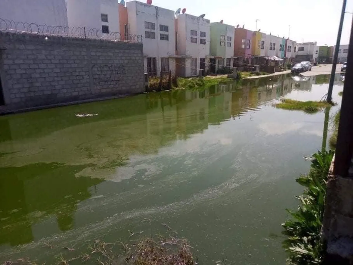 aguas negras