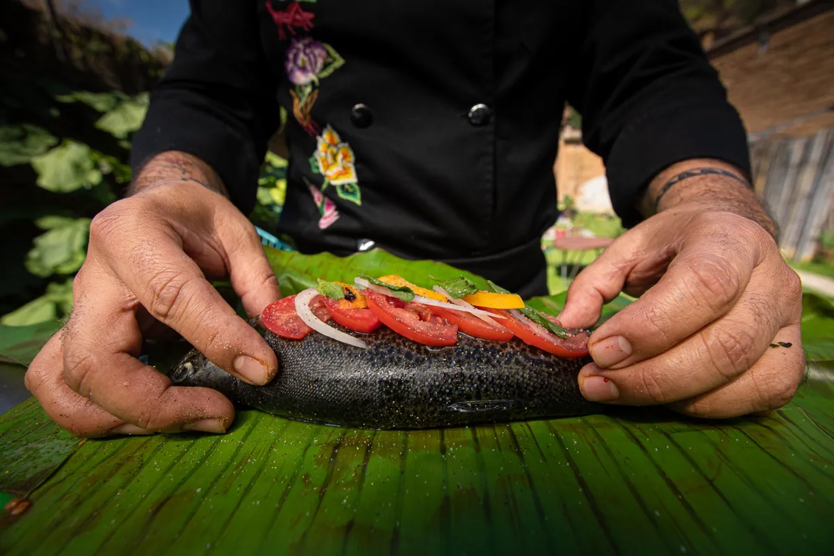 Metepec busca el mejor sabor de la trucha mexiquense
