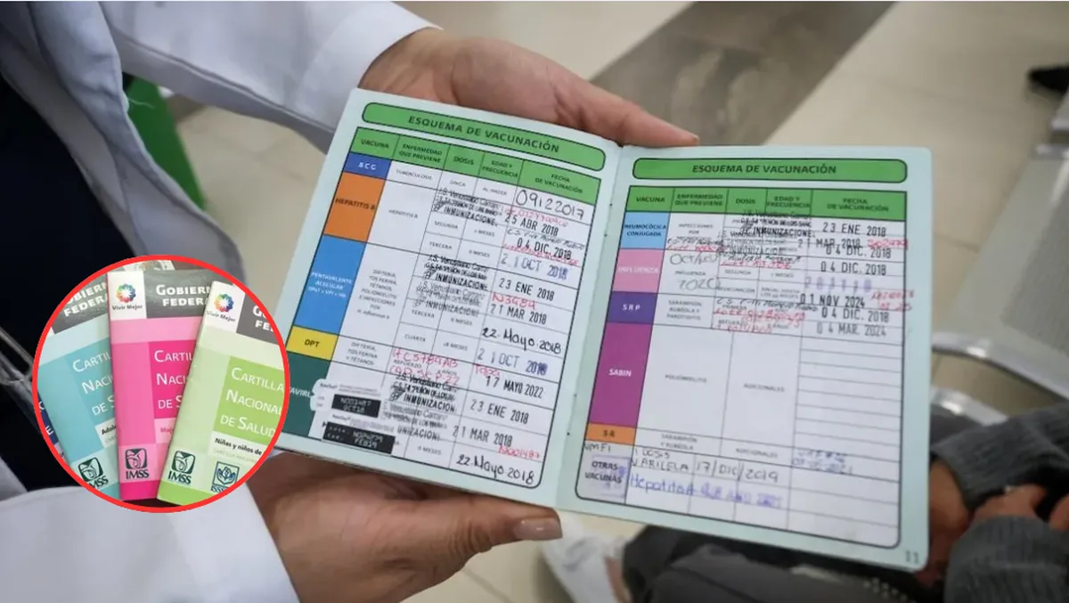 Inscripciones SEP 2026: ¿Cómo recuperar la cartilla de vacunación del IMSS por internet?