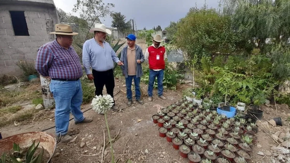 Productos con maguey, un legado ancestral que se mantiene en el Edomex