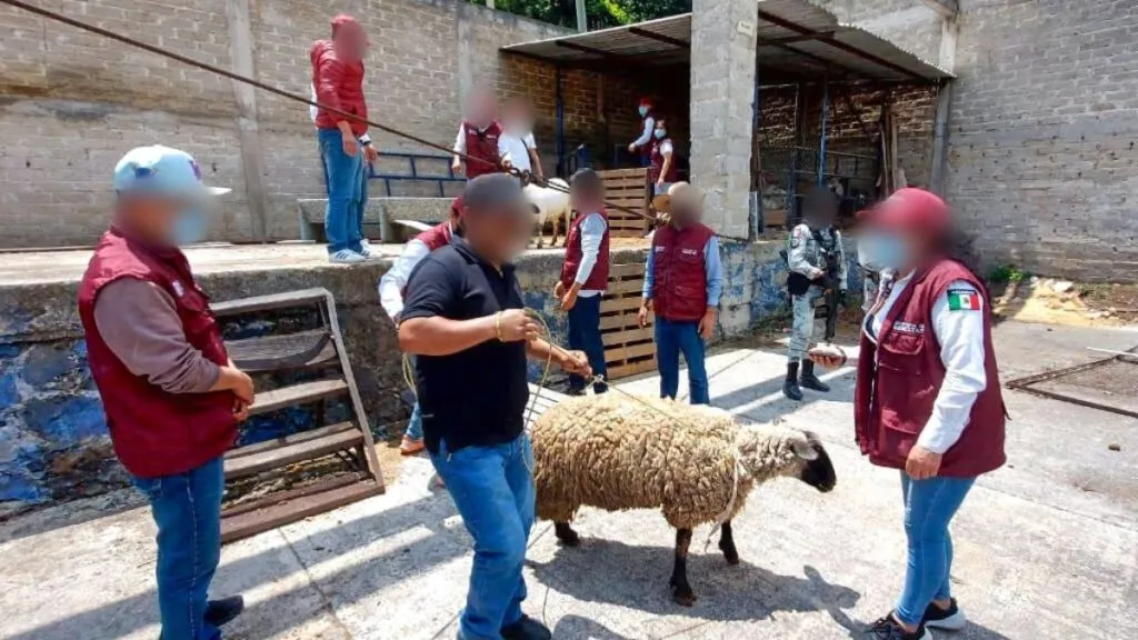 Edomex: Concluye entrega de bienes incautados en ‘Operación Liberación’