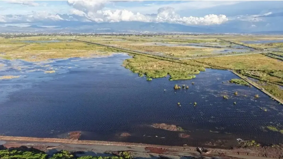 La captación de agua en el Lago de Texcoco ha permitido el retorno de miles de aves migratorias, aunque el vandalismo y los incendios siguen amenazando el ecosistema.