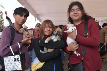 Habrá campaña gratuita de esterilización para mascotas en Calimaya