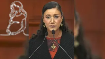 Madres embarazadas deben conservar su seguridad social después del parto: Diputados