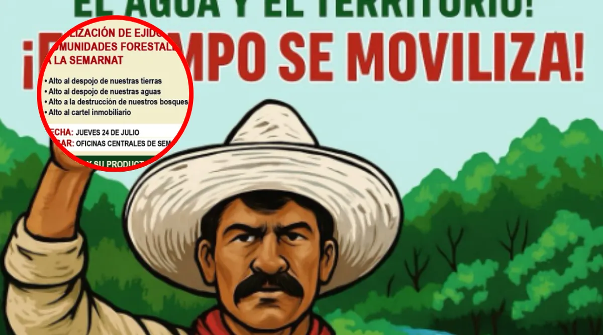 ¡Atención! Movilización para proteger los bosques de agua es convocada en Edomex