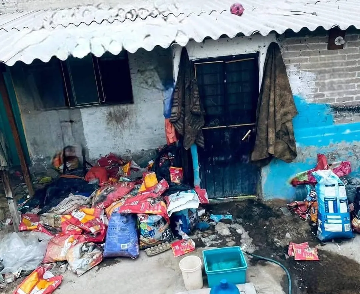 Chimalhuacán: denuncian nuevo caso de crueldad animal