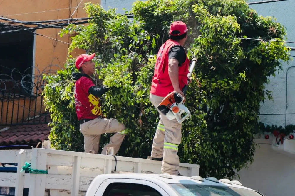 Xochimilco flores con mega Jornadas de atención territoriales: Circe Camacho