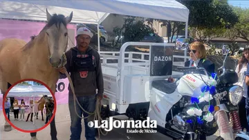 Jubilan a Bayo, último caballo carretonero en Los Reyes La Paz [VIDEO]