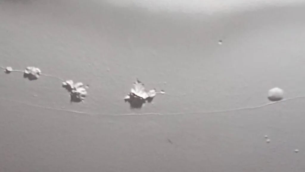 Sin apoyo locales comerciales afectados por obras del Suburbano al AIFA