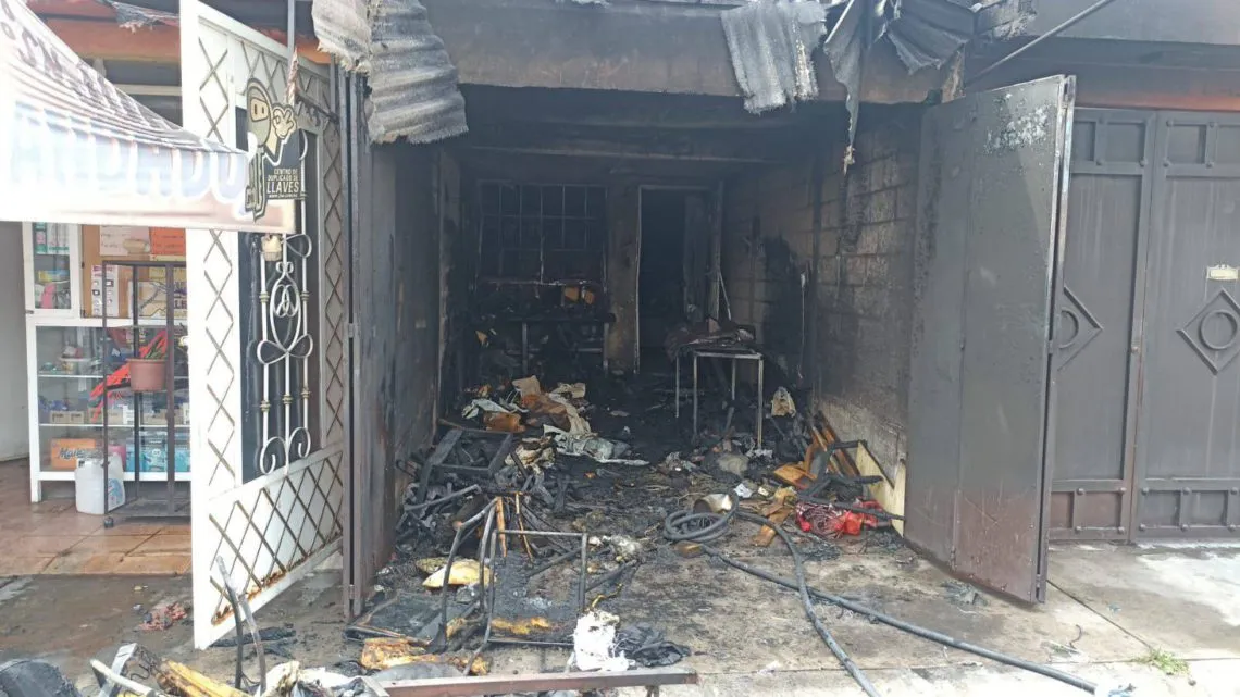 Tecámac: Muere gato al incendiarse una tapicería