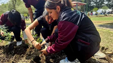 Valle de Chalco crea jardines polinizadores