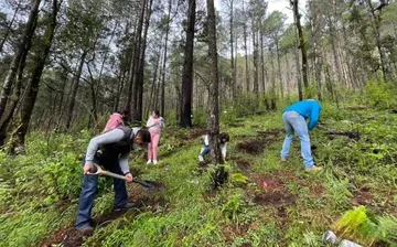 Este esfuerzo cuenta con el respaldo del gobierno estatal, liderado por la maestra Delfina Gómez Álvarez, y con la participación activa de gobiernos municipales.