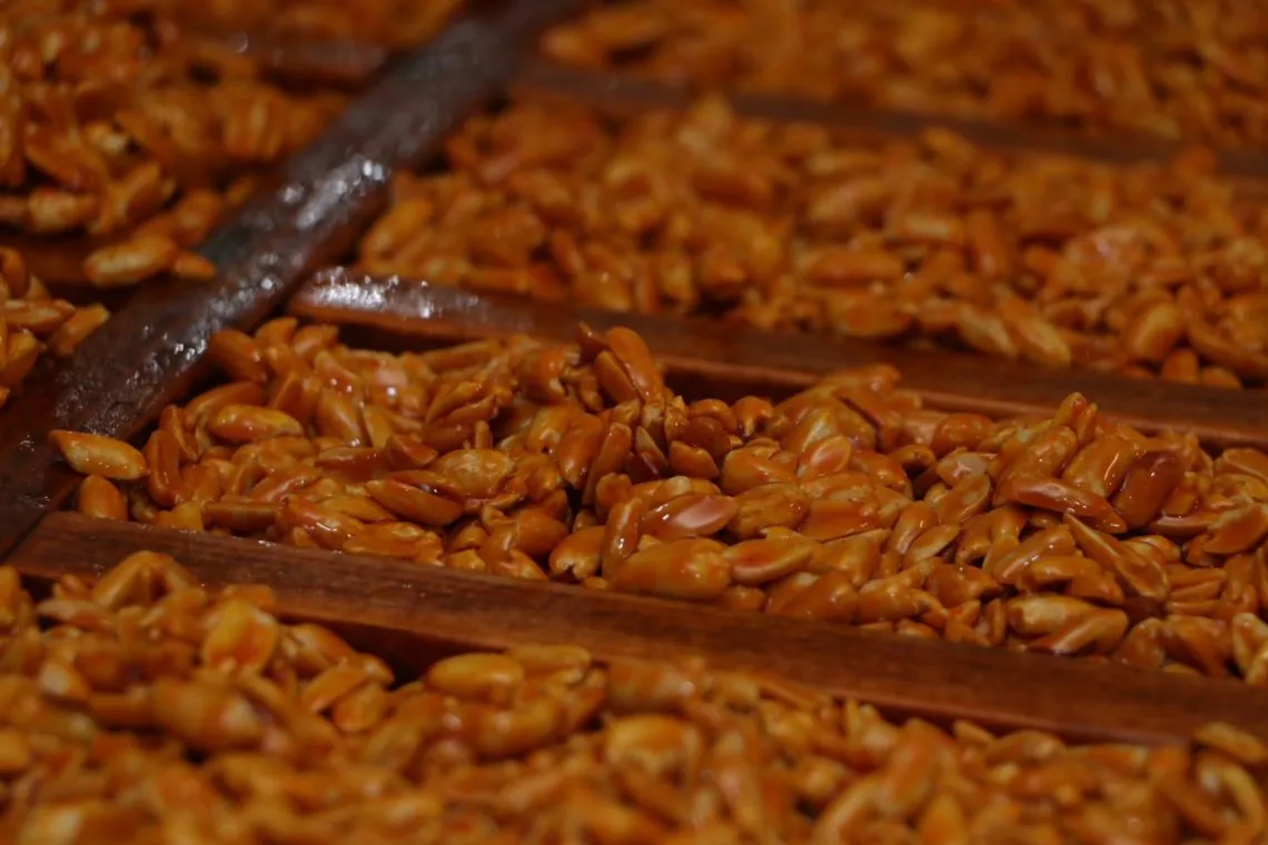 Gastronomía mexiquense en las fiestas patrias