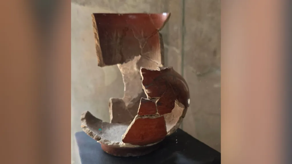 El fogón del tiempo: Alquimia en la cocina de Zinacantepec