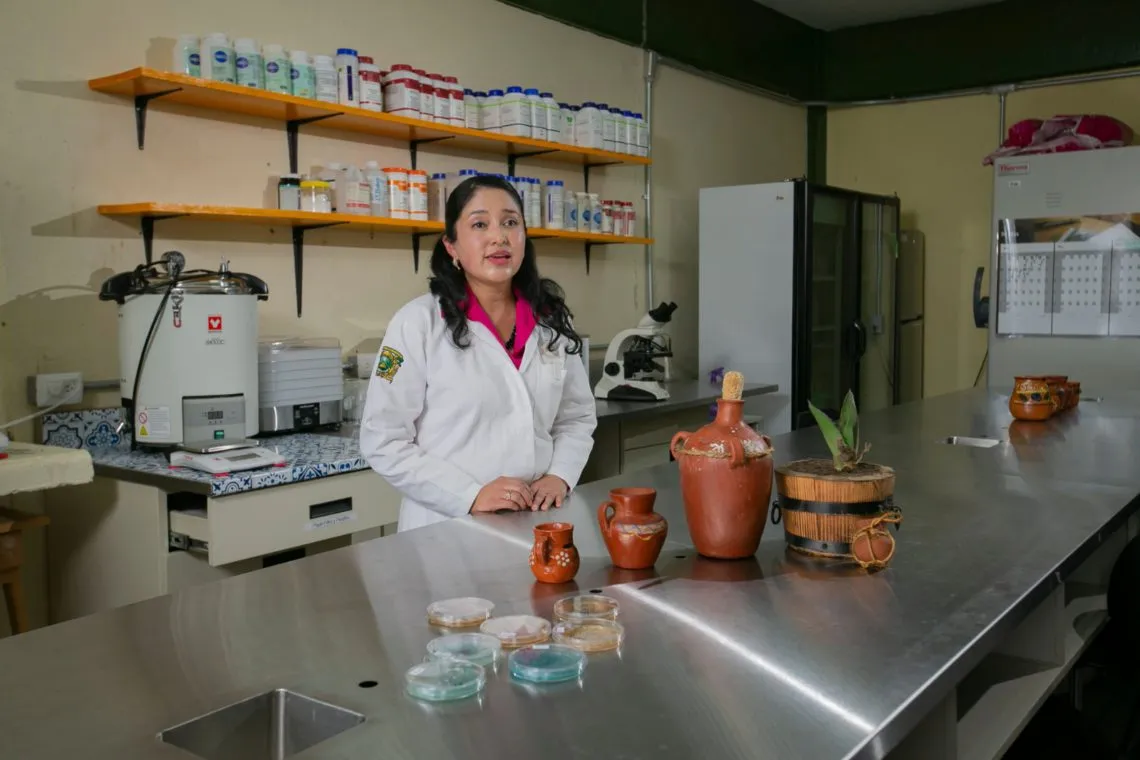 Estas son las características microbiológicas del pulque