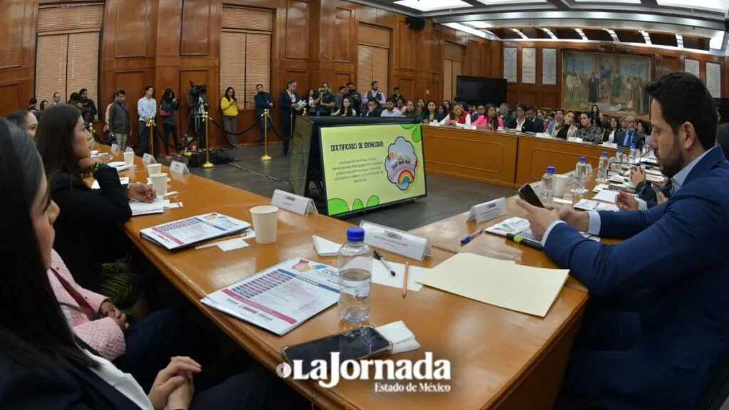 Expertos declaran que urgen reformas para agilizar adopciones en el Edomex