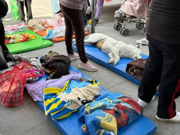 Toluca mantiene esterilización y vacunación para mascotas GRATIS durante vacaciones