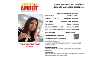 Alerta Amber: Se busca a Yoari Valeria Trigo Gómez, desaparecida en Chicoloapan