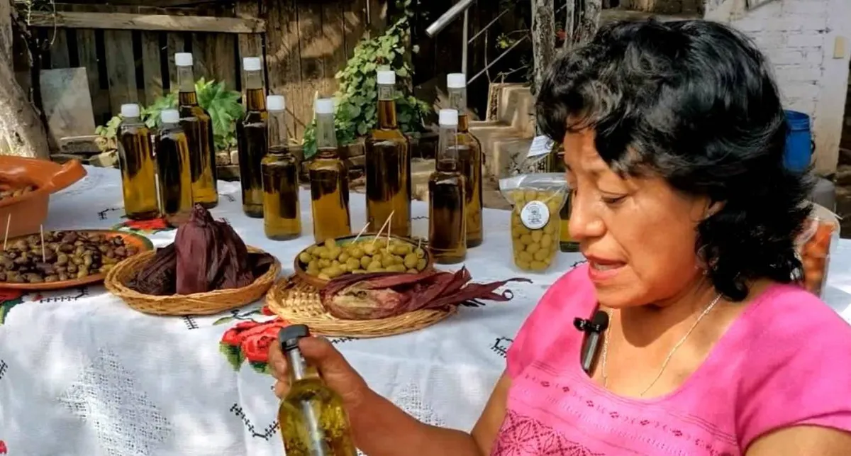Cultivo de olivo en Chimalhuacán, tesoro en medio de la mancha urbana