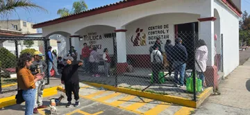 Bienestar animal en Toluca avanza con más esterilizaciones y vacunas