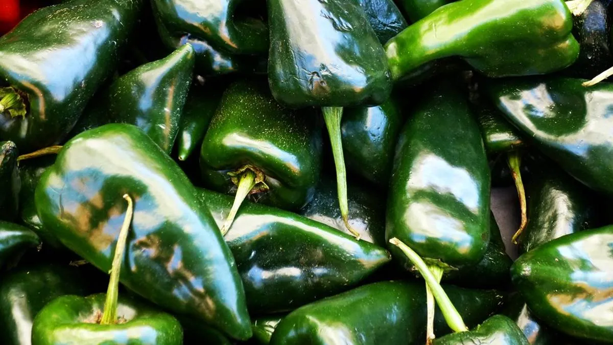 Se duplica precio el chile poblano en la zona oriente del Edomex