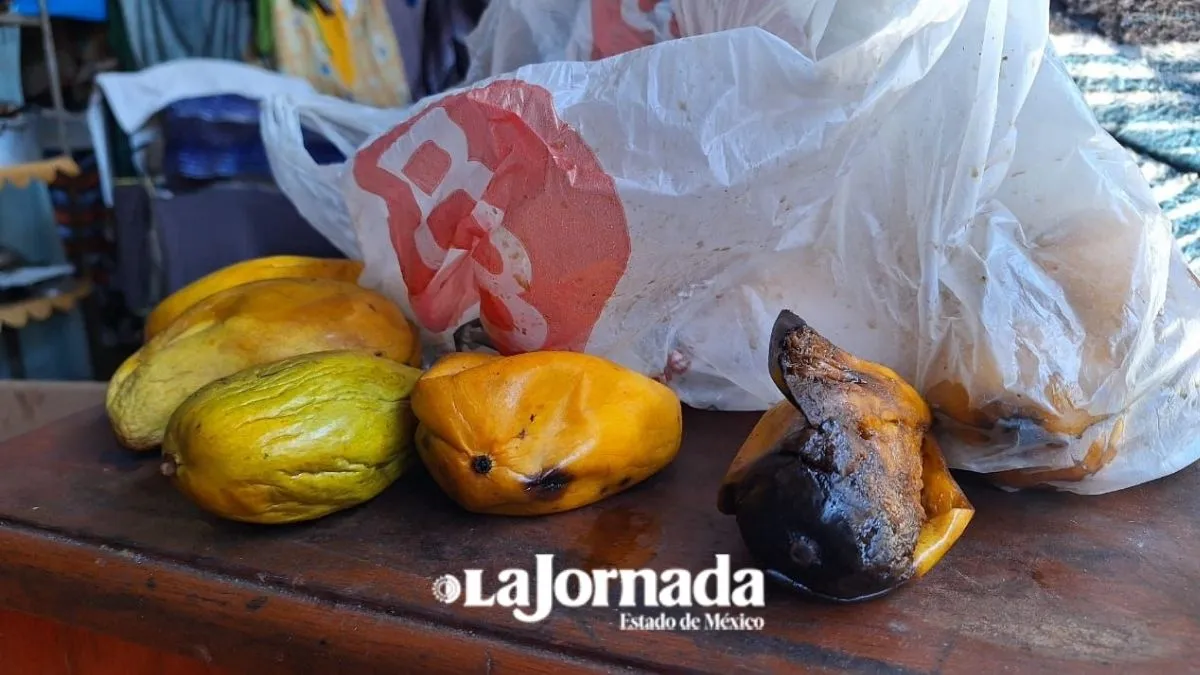 Se retiró apoyo a Casa del Migrante por falta de donaciones alimenticias: Alberto Canul