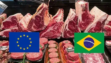 Brasil enfrentará restricción de alimentos en 27 países de la Unión Europea