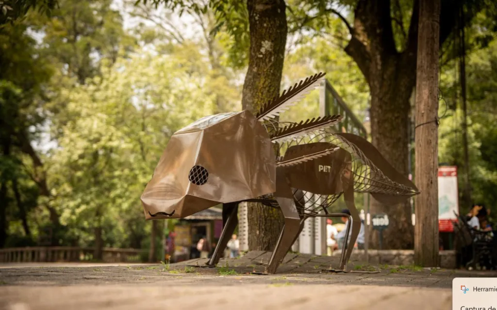 Lanzan “Chapultepec sin Residuos” para recuperar PET, latas y otros materiales reciclables