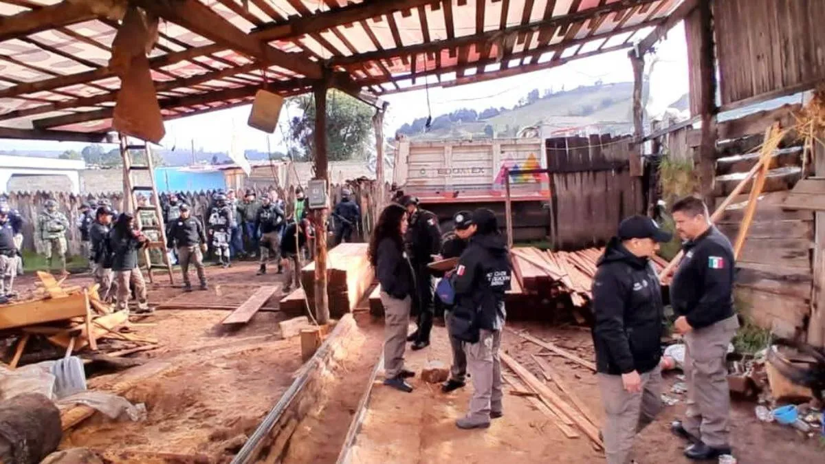 Edomex: Instruye Delfina Gómez operativo contra la tala clandestina