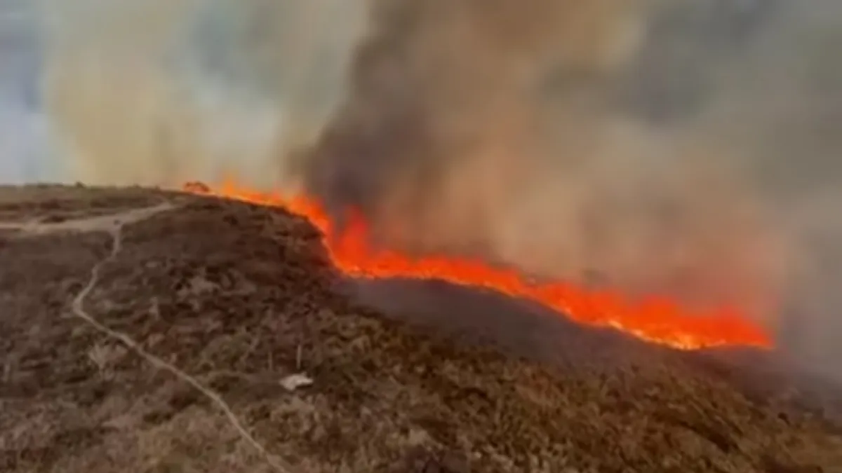 Incendio en la Presa Madín en Atizapán moviliza cuerpos de emergencia