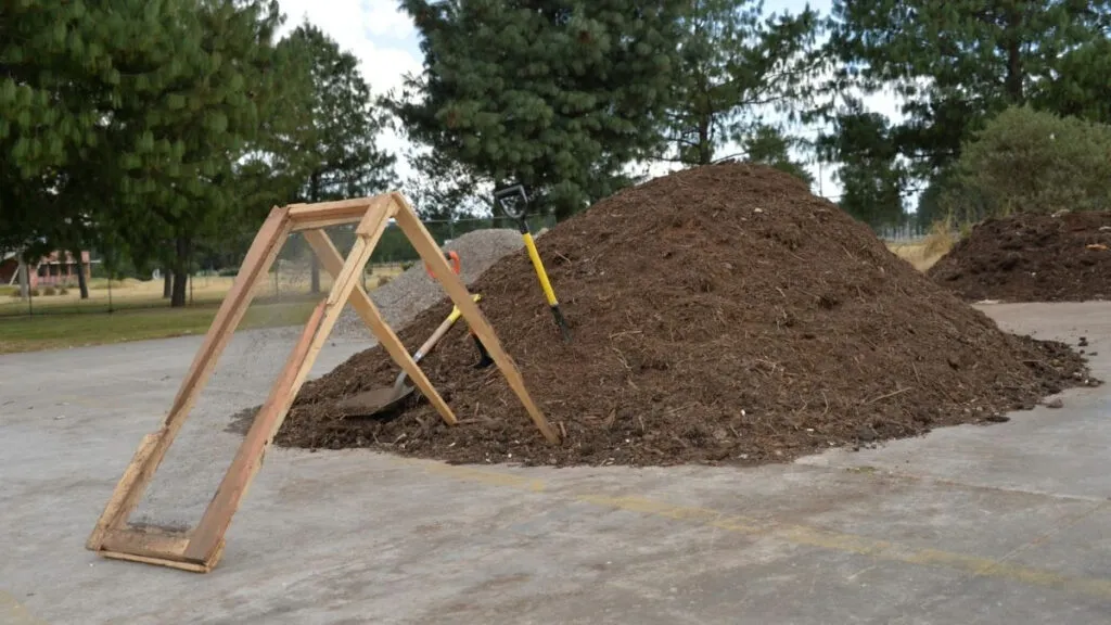 Centros de reciclaje de árboles de Navidad de la Secretaría del Medio Ambiente del Edoméx