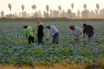 Mexicanos en EU generan una economía mayor que la de varios países, revela estudio