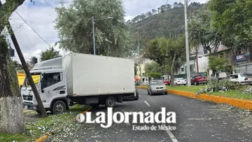 Camión se impacta contra un árbol en Matlazincas; autoridades atienden emergencia