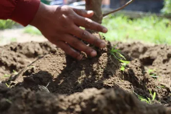 Chimalhuacán: buscan rescatar cerro como patrimonio biocultural