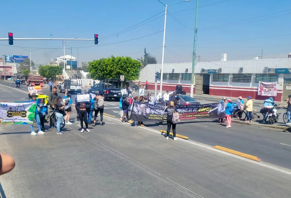 Nezahualcóyotl: Exigen penas más severas contra el maltrato animal
