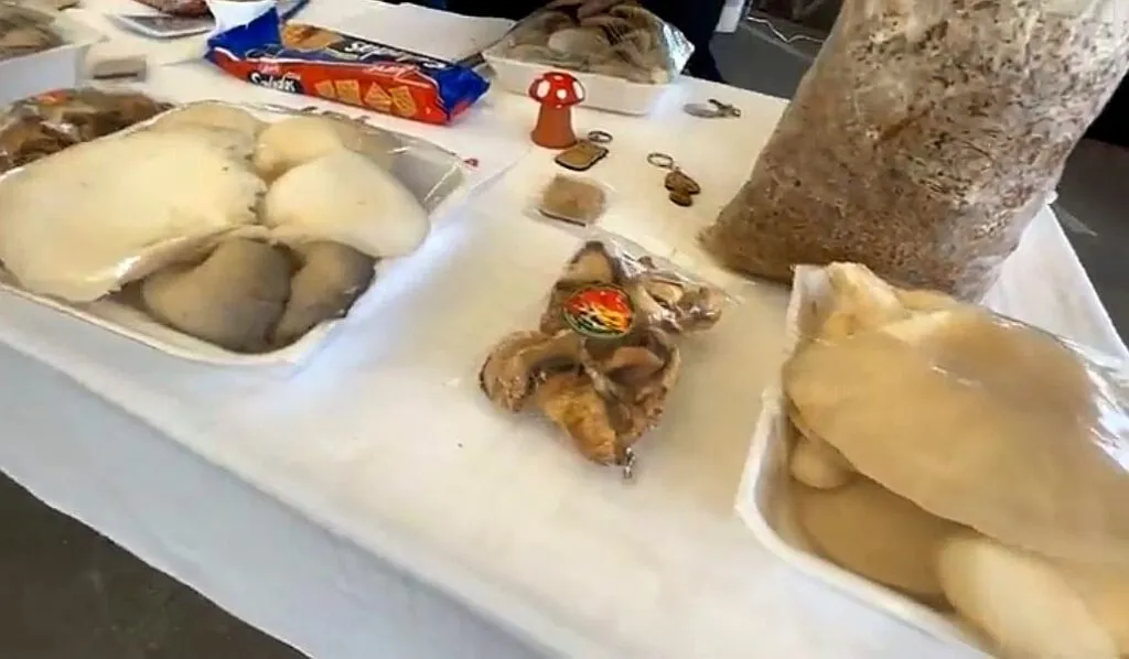 Artesanos de los volcanes ofrecen productos orgánicos en Tianguis Colibrí