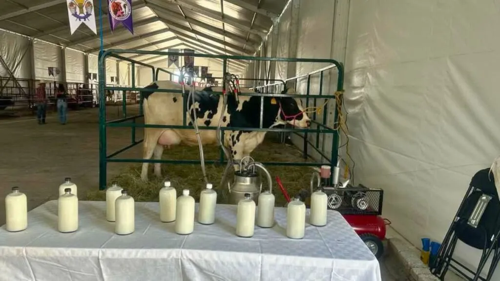 Chapingo participa con Expo ganadera en la Feria del Caballo