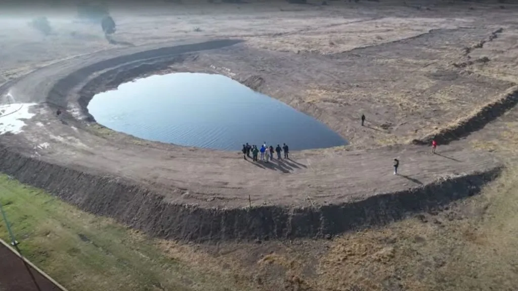Crean humedales con agua tratada en Tecámac