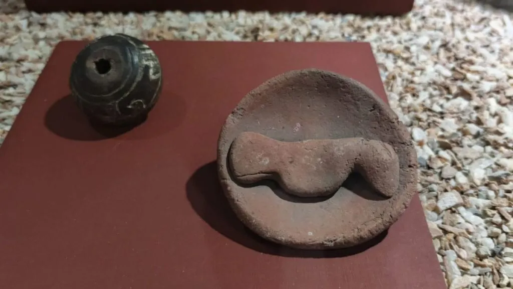 Museos: pilares de la identidad, memoria histórica y el orgullo cultural