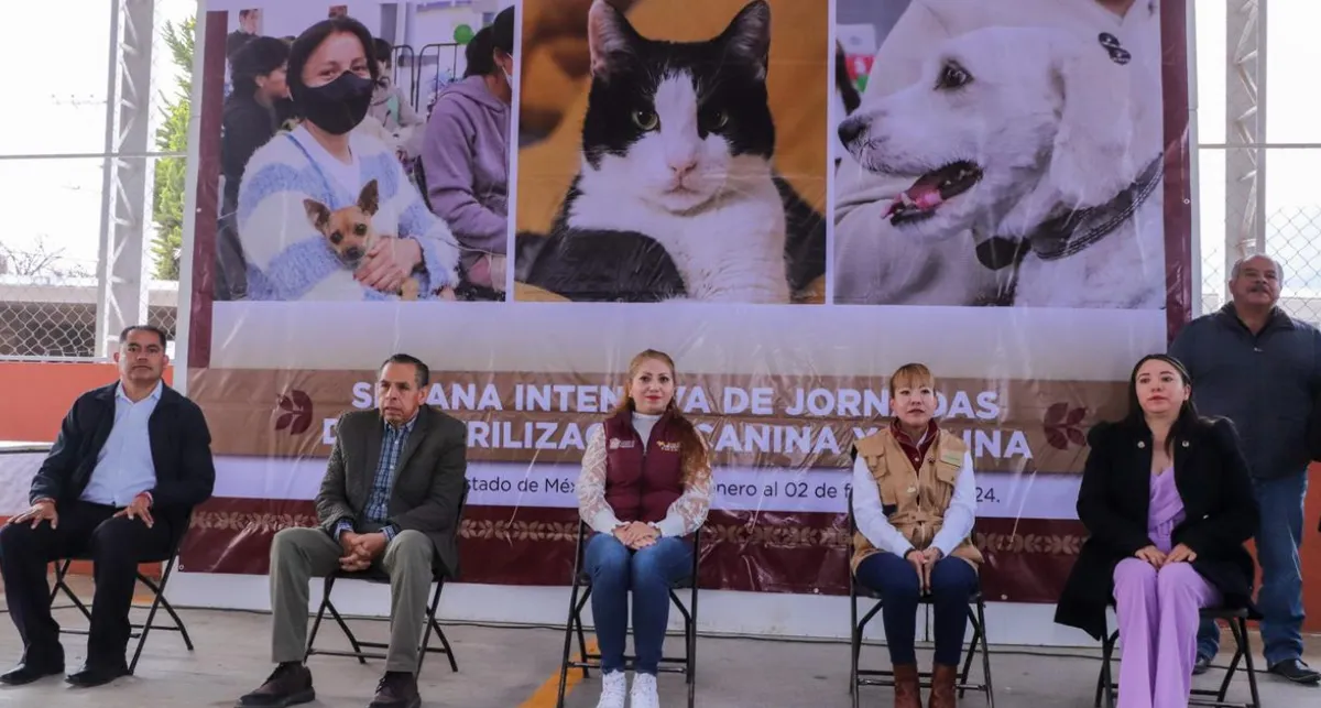 Secretaría de Salud y Cepanaf acuerdan salvaguardar a animales en situación de calle