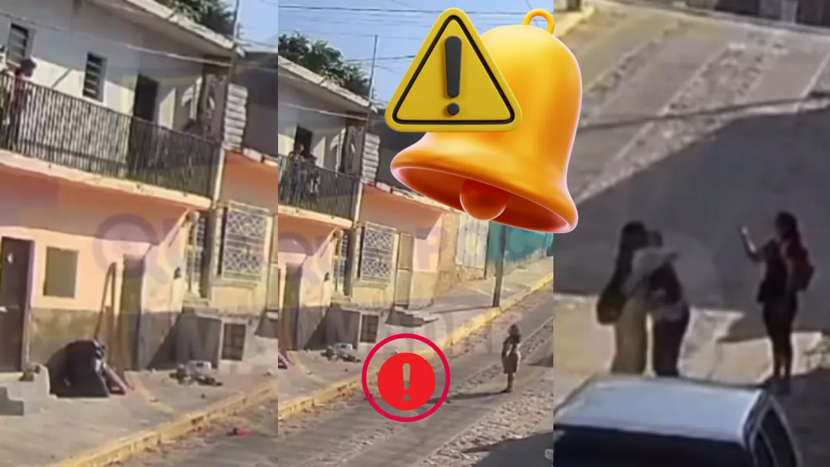 Video muestra cómo una mujer arroja a perrito desde balcón en Tuxtla; Rambo sobrevivió y autoridades ya investigan por maltrato animal.