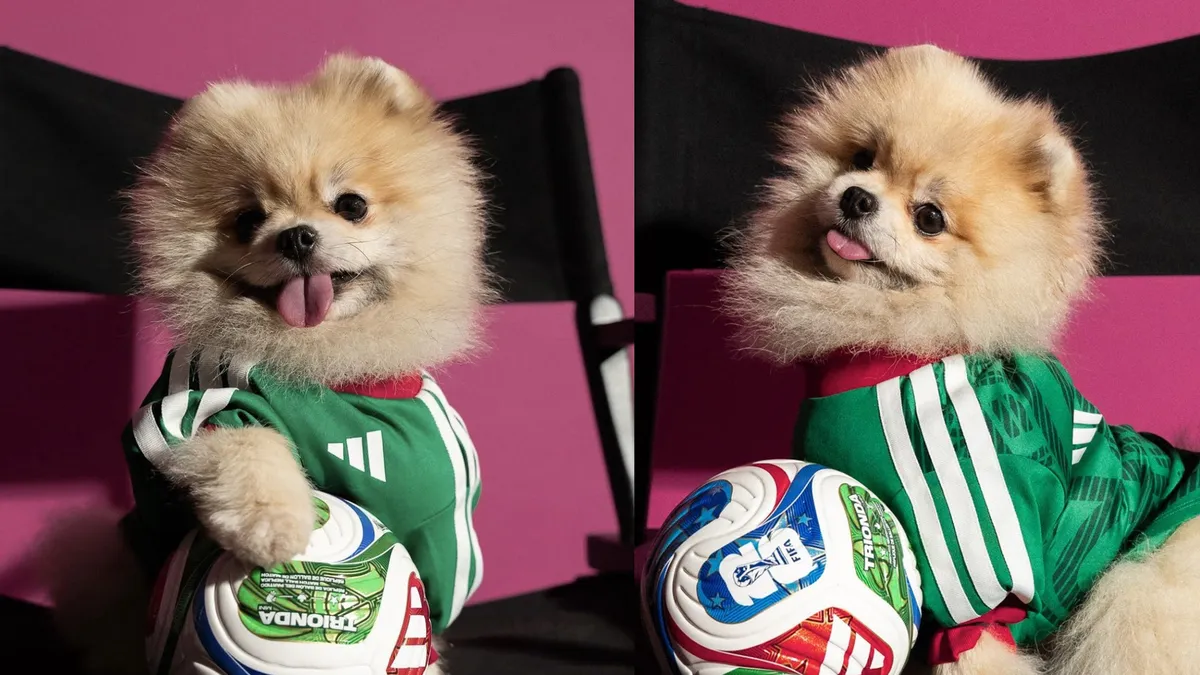 Adidas lanza colección de camisetas deportivas para mascotas